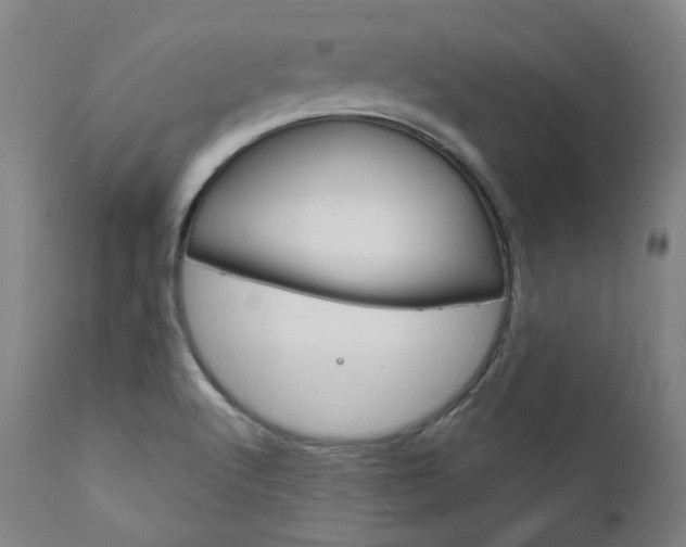 X0000111821512200907231011