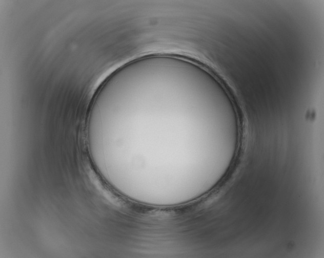 X0000111821513200907231011