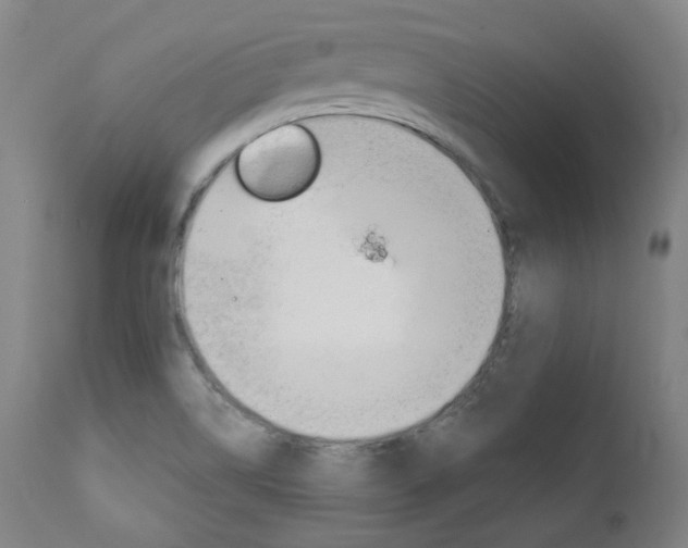 X0000111821514200907231011