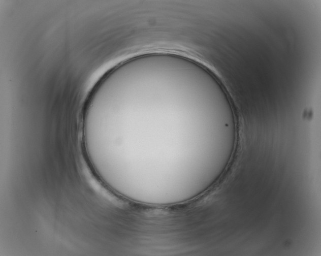 X0000111821515200907231011