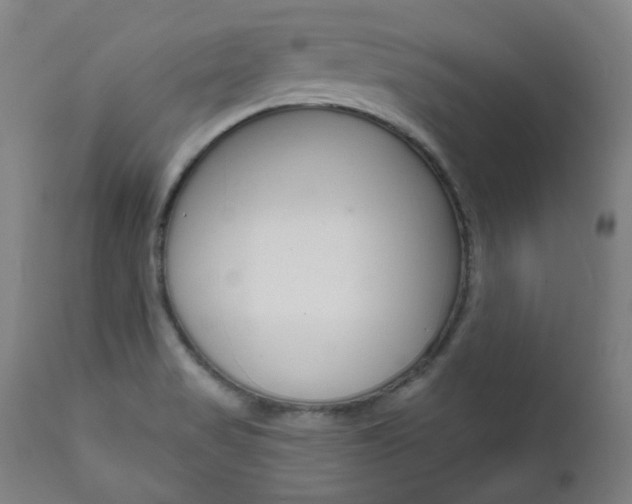X0000111821517200907231011