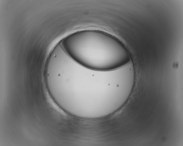 X0000111821518200907231011