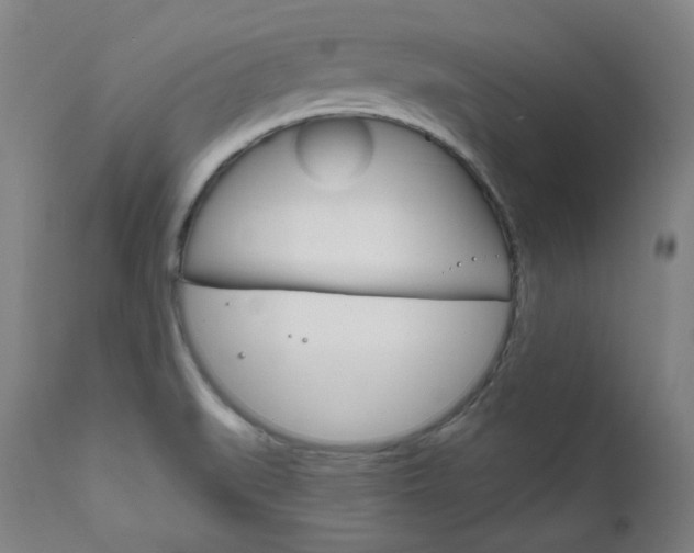 X0000111821519200907231011