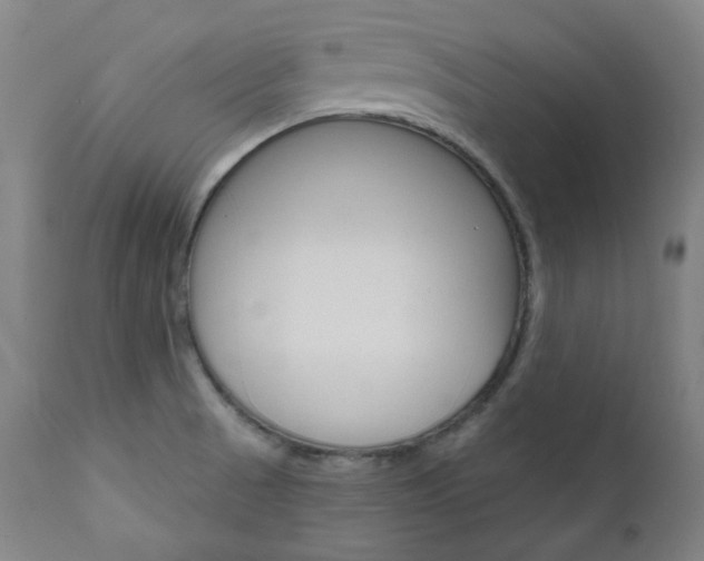 X0000111821521200907231011