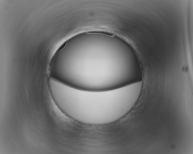 X0000111821524200907231011