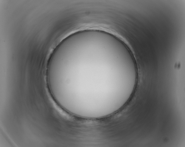 X0000111821525200907231012