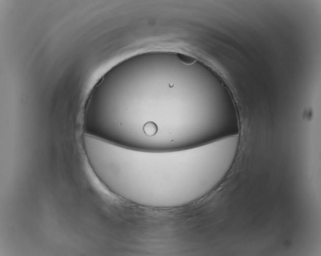 X0000111821528200907231012