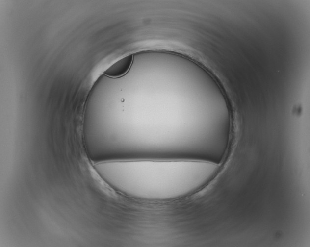 X0000111821529200907231012