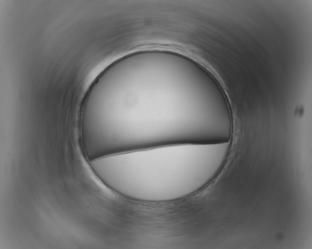 X0000111821533200907231012