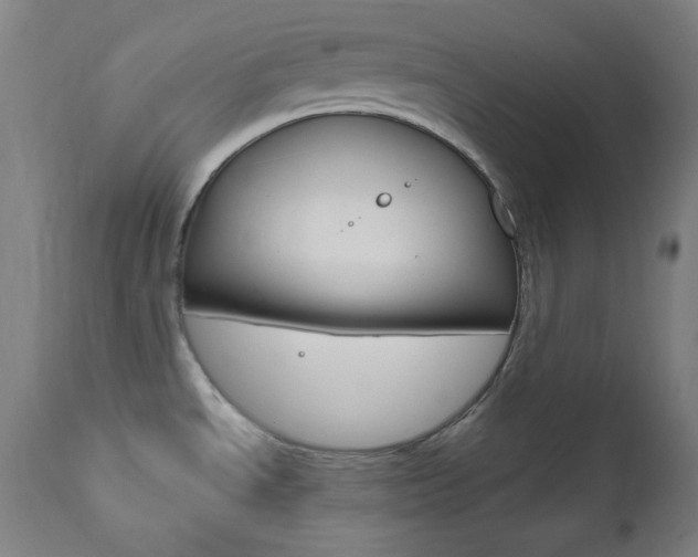 X0000111821534200907231012