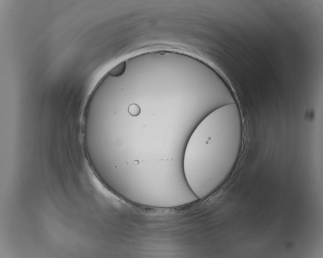 X0000111821535200907231012