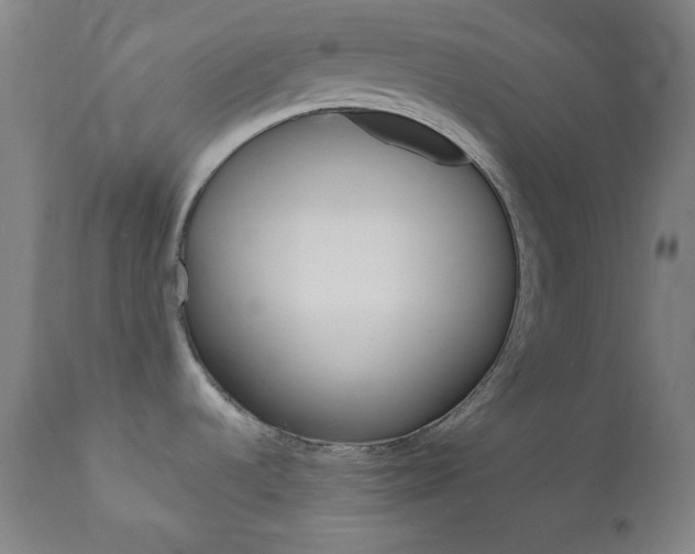 X0000111821536200907231012