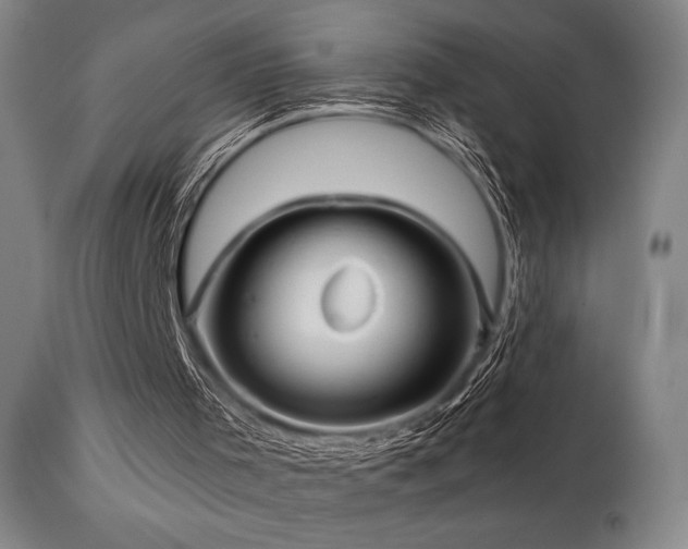X0000111820001200907231329