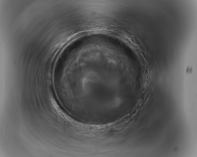 X0000111820002200907231329