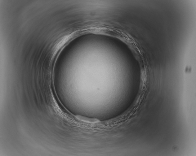 X0000111820003200907231329