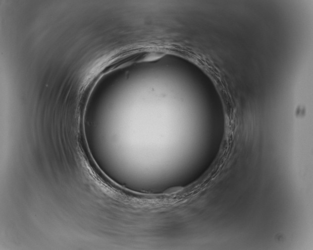 X0000111820005200907231329