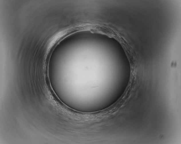 X0000111820006200907231329