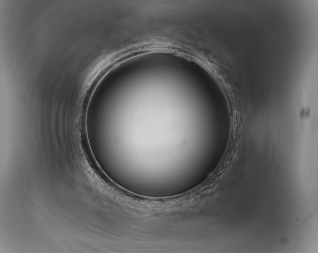 X0000111820007200907231329