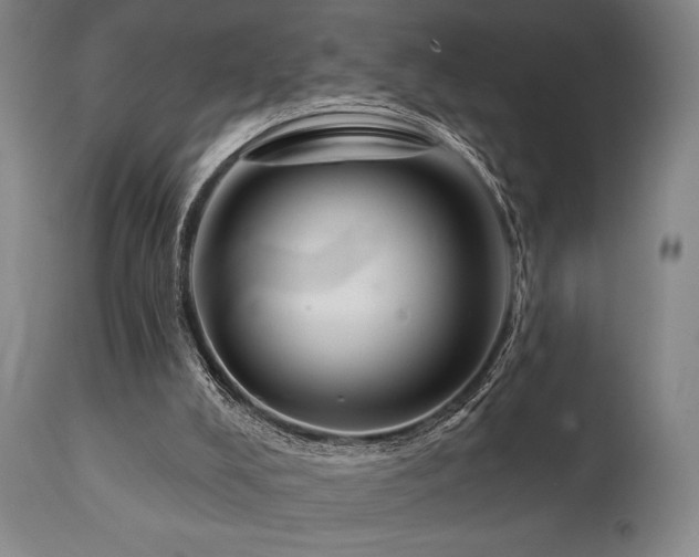 X0000111820008200907231329