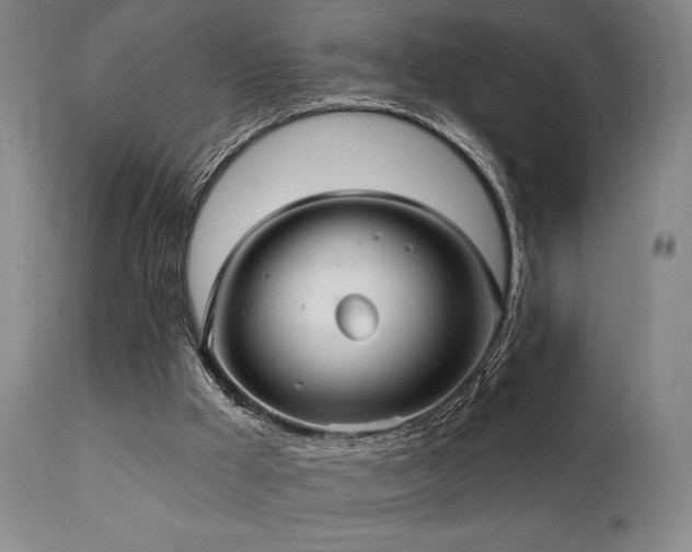 X0000111820009200907231329