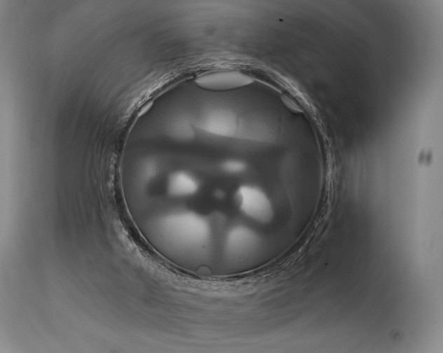 X0000111820010200907231329