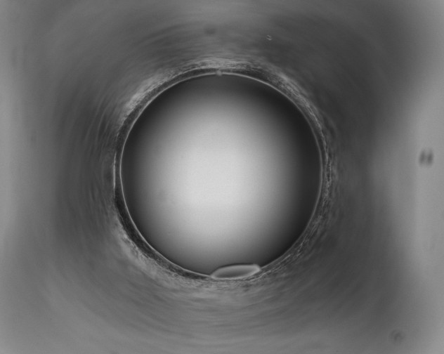 X0000111820011200907231329