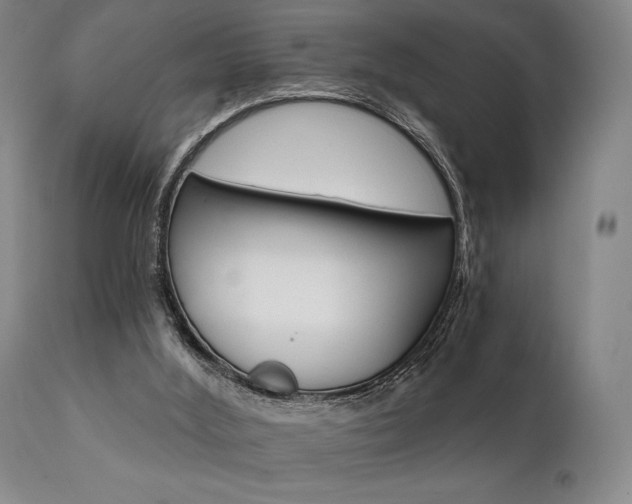 X0000111820012200907231329