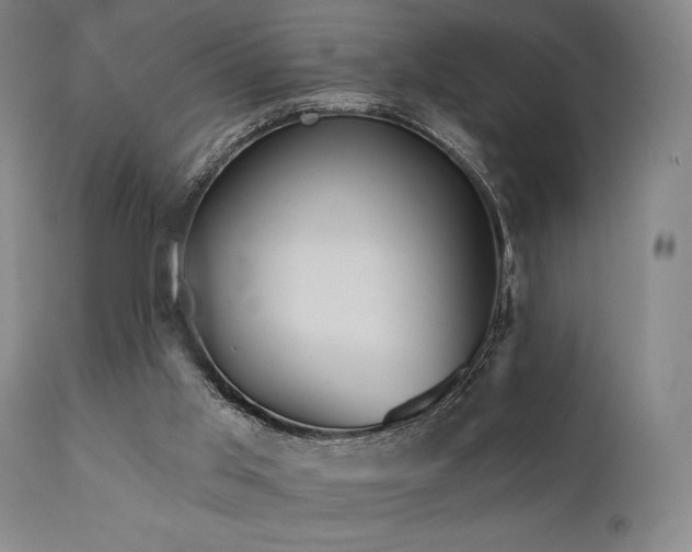 X0000111820013200907231329