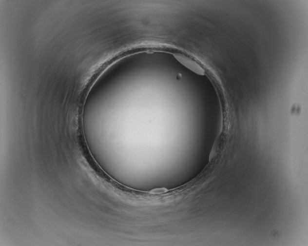 X0000111820015200907231329