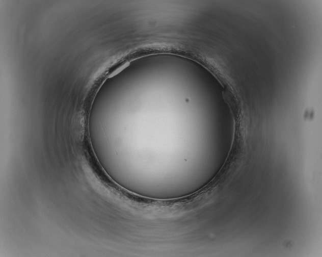 X0000111820016200907231329