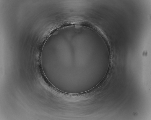 X0000111820018200907231329