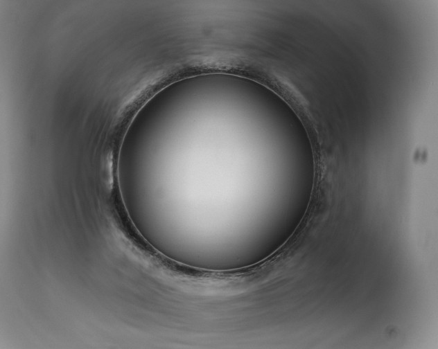 X0000111820020200907231329