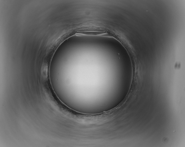 X0000111820021200907231329