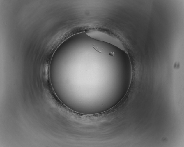 X0000111820022200907231329