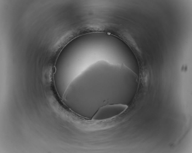 X0000111820023200907231329