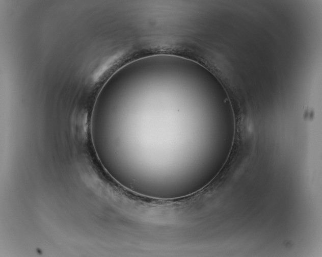 X0000111820024200907231329