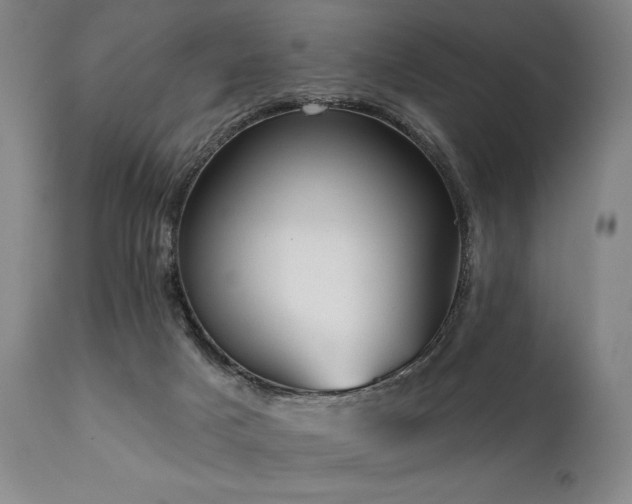 X0000111820025200907231329
