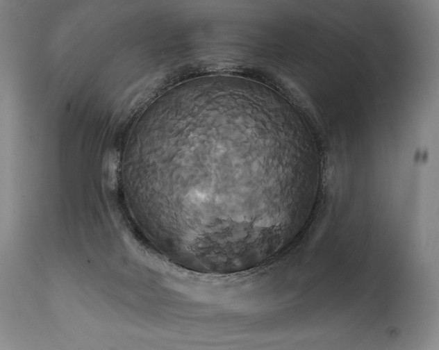 X0000111820026200907231329
