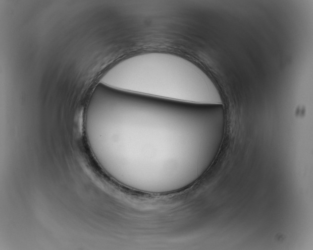 X0000111820028200907231329