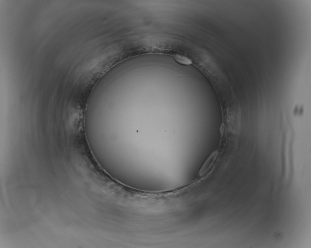 X0000111820029200907231329