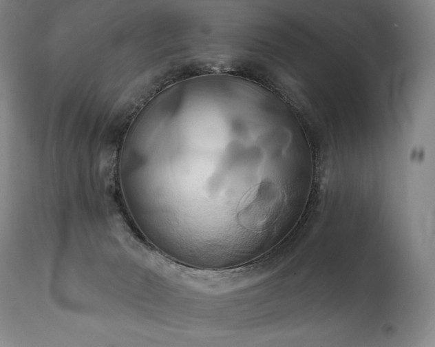 X0000111820030200907231329