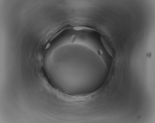 X0000111820031200907231329