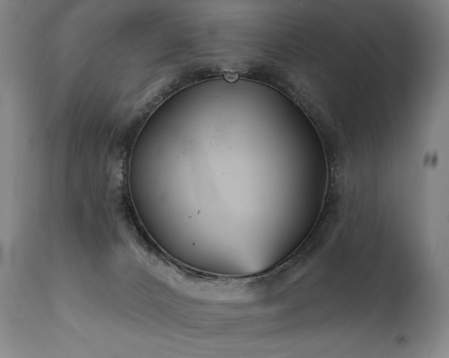 X0000111820032200907231329
