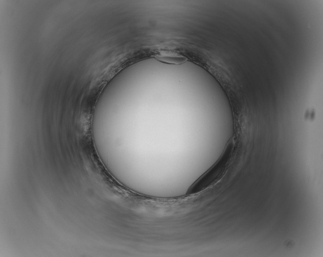 X0000111820033200907231329