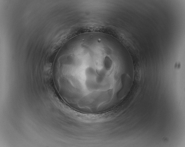 X0000111820034200907231329