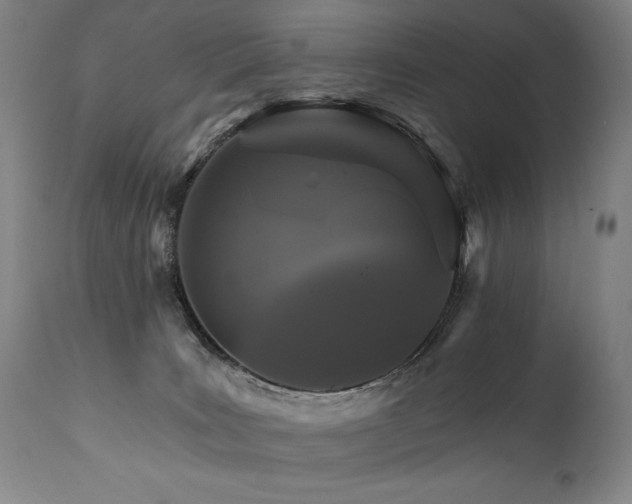 X0000111820035200907231329