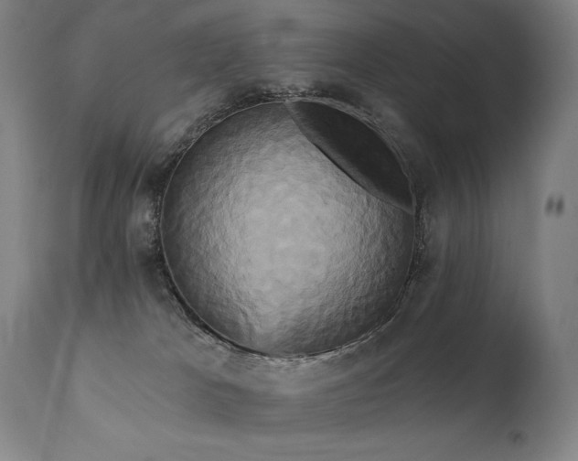 X0000111820037200907231329
