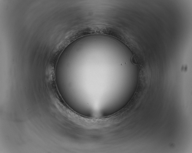 X0000111820038200907231329