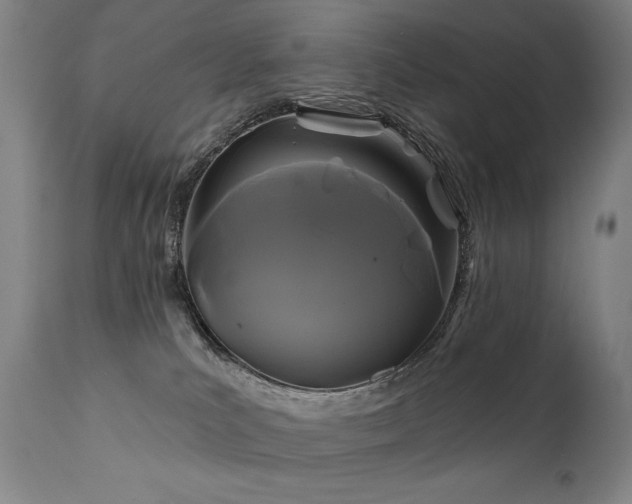 X0000111820039200907231329
