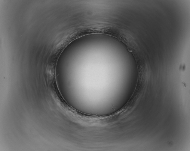 X0000111820040200907231329
